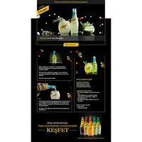 ofix-product-image-2