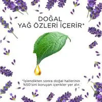 ofix-product-image-4
