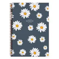 ofix-product-image-2