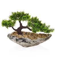 Objevi Asimetrik Taş Saksıda Bonsai 19 x 23 cm