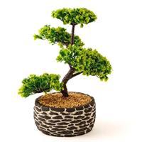 Objevi Dekoratif Saksılı Bonsai Meri 20 x 20 x 36 cm - Siyah (OBJ015) 