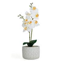 Objevi Beton Saksıda Real Touch Orkide 12 x 35 cm - Beyaz (ARD011)