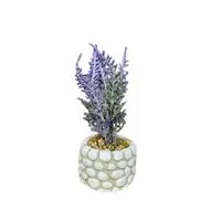 Objevi Mini Lavanta 5 x 10 cm
