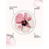 ofix-product-image-1