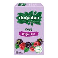 Doğadan Keyif Meyve Çayı Böğürtlen 2 g x 20 Adet