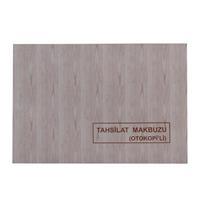 Dilman Tahsilat Makbuzu No.2 Otokopili 2 Nüshalı 13.3 x 19.3 cm - 2 x 50 Yaprak