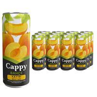 Cappy Meyve Suyu Kayısı Aromalı 330 ml x 12 Adet