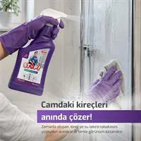 ofix-product-image-1