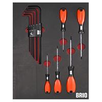 Brio Tornavida Torx (Tork) Seti Ve Allen Seti Uzun 14 Parça Sünger Yataklı
