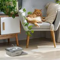 ofix-product-image-2